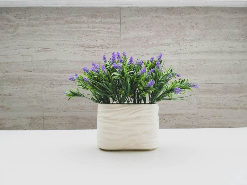Lavendar